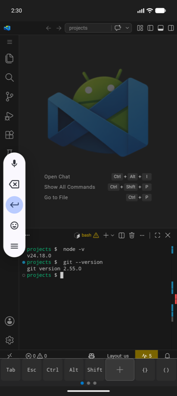 A bash prompt running in the integrated terminal.